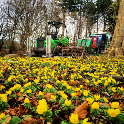 Bestil en servicemontr